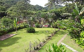 Quintal Da Mata